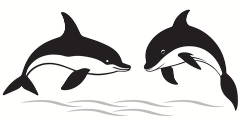  Vaquita silhouettes and icons. Black flat color simple elegant white background  Vaquita animal vector and illustration.