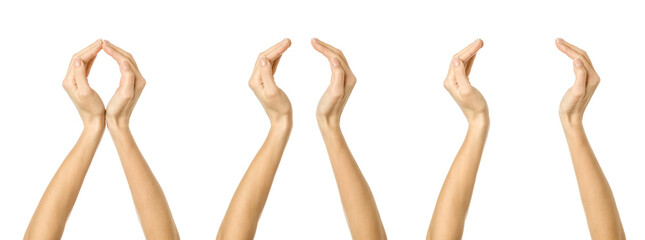 Hands holding something gesture. Multiple images set of female caucasian hands with french manicure...
