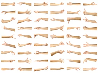 Fotobehang Multiple images set of female caucasian hand gestures © Iurii