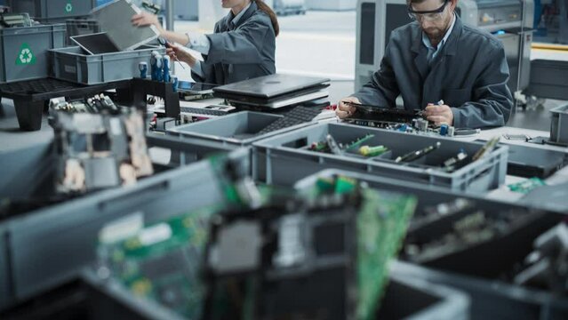 Caucasian Male And Female Workers Taking Apart Laptops To Recycle Electronic Components For Printed Circuit Board Production At Electronics Factory. Employees Unscrewing and Sorting Computer Parts