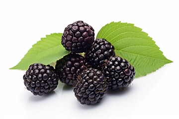 Boysenberry isolated on a white background photography