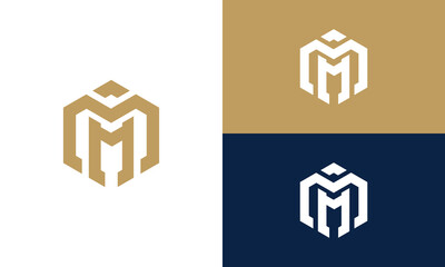 initials ma monogram logo design vector