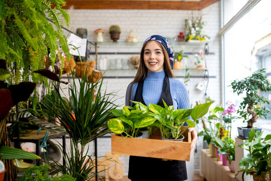 Young smiling woman with Epipremnum aureum in planter in floristry