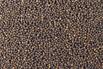 black chili pepper