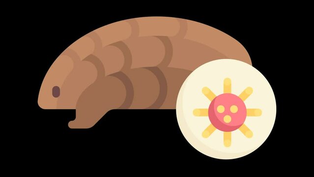Animated Pangolin Icon: Raising Awareness for Covid-19 (Transparent Background)
