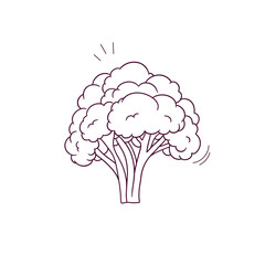 Hand Drawn illustration of broccoli icon. Doodle Vector Sketch Illustration