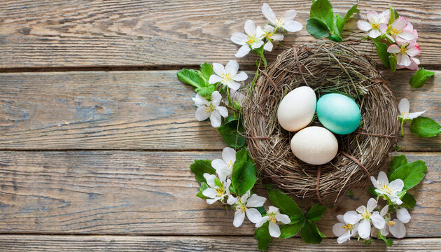 Easter eggs in a nest with spring flowers on a wooden background, copy space