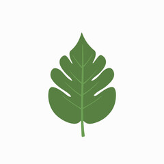 leaf vector ai generated 