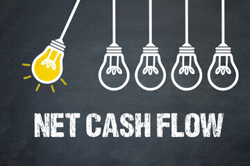 Net Cash Flow	