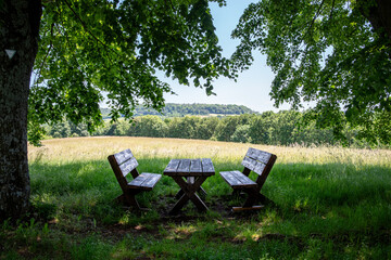 Bench with a country view under a tree
