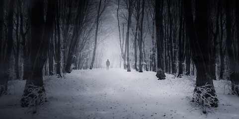 dark fantasy forest in winter with man walking on snowy path