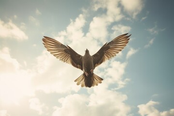  a bird that is flying in the air with its wings spread and it's wings are spread wide open in front of a blue cloudy sky with white clouds.
