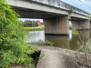 the bridge on the river in the park