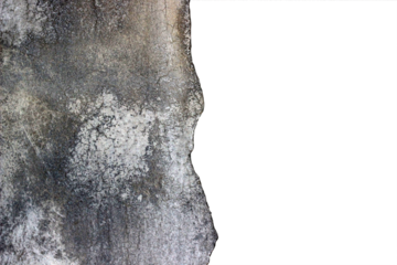 Old gray cement wall, dirty stains isolated on white background.