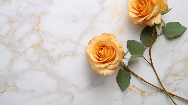 yellow rose on wooden background HD 8K wallpaper Stock Photographic Image 