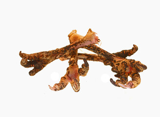 chicken bones isolated on white background