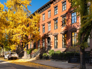 Fototapeta na wymiar Typical row of West Village townhouses with Ginkgo trees in autumn. New York City