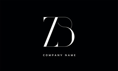 ZB, BZ, Z, B Abstract Letters Logo Monogram