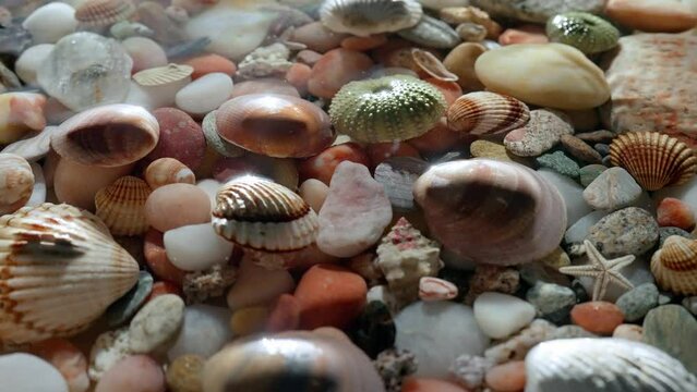 Close up shot of sea bed background. Beautiful colorful stones seashells under water, wave rippling over, sunlight shines through surface.
