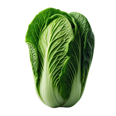 chinese cabbage isolated on transparent or white background, png - obrazy, fototapety, plakaty