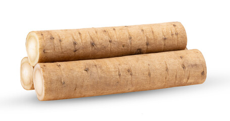 burdock roots or kobo isolated on white background