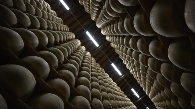 Parmigiano Reggiano Magazzino 999