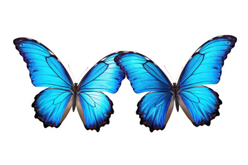 Blue tropical butterfly on a transparent background. Isolated.