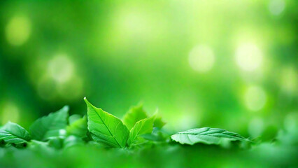 Green leaves background with bokeh effect and copy space for text.