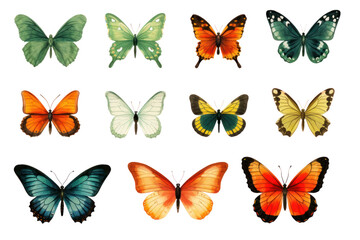 Set of rainbow colored butterflies spreading wings ,On a transparent background. Isolated.