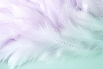  a close up of a white feather on a blue and green background with a blurry image of the back side of the feathers and the top part of the feathers.