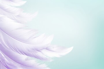  a close up of a white feather on a pastel blue and green background with a place for a text or an image to put on the left side of the image.