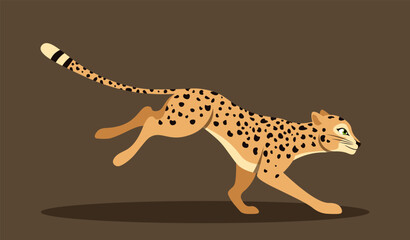 Cute running leopard. Adorable fast cheetah rushes forward. Wild cat or savannah animal in motion. Design element for poster. Cartoon flat vector illustration isolated on brown background © Rudzhan
