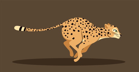 Cute running leopard. Side view of moving cheetah racing forward and chasing prey. Charming big cat or wild animal inhabitant of savannah. Cartoon flat vector illustration isolated on brown background © Rudzhan