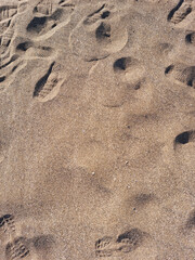 
These are shoe prints in the sand.