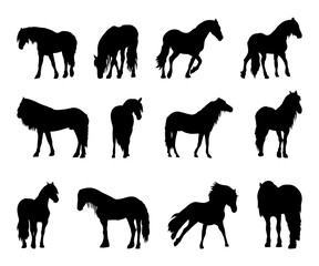 Collection of hourse silhouettes, horse breeding . Vector illustration.	