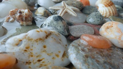 Macro shot on the background of the sea bottom. Beautiful multicolored stones, starfish and shells scattered on the shore and covered with sea water.