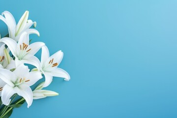 Beautiful Bouquet Of Lily Flowers On Blue Background Lilies With Empty Space