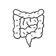 Intestine internal organ. Human digestive tract. Medical icon. Black and white illustration isolated on white