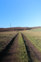 A dirt road with grass and trees