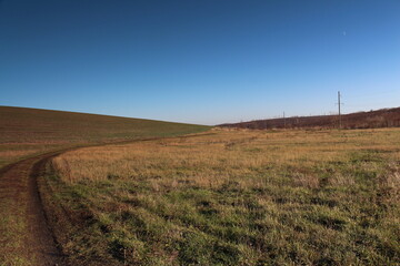 A dirt road through a field