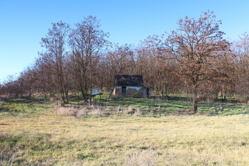 A house in a field