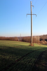 Power lines in a field with Codrington Wind Farm in the background