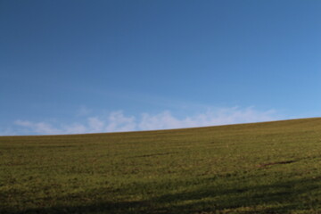 Fototapeta na wymiar A grassy field with blue sky