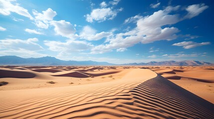 Fototapeta na wymiar Panoramic view of the sand dunes in the Sahara desert