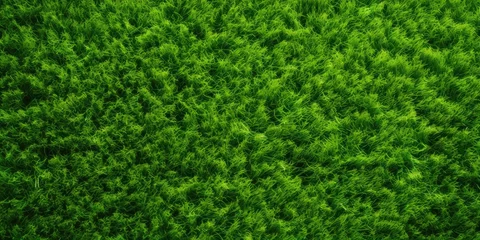 Crédence de cuisine en verre imprimé Prairie, marais Green lawn top view. Artificial grass background grass green field texture lawn golf nature
