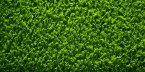 Wandcirkels plexiglas Green lawn top view. Artificial grass background grass green field texture lawn golf nature © megavectors