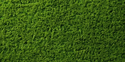 Gordijnen Green lawn top view. Artificial grass background grass green field texture lawn golf nature © megavectors