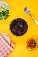 Frijol con puerco - imágenes, fotografías de comida yucateca tradicional, cocina maya ancestral a base de frijol negro y distintos ingredientes cilantro, rábano, cebolla, chile en fondo de color. © PedroFrancisco