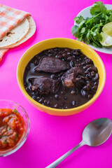 Frijol con puerco - imágenes, fotografías de comida yucateca tradicional, cocina maya ancestral a base de frijol negro y distintos ingredientes cilantro, rábano, cebolla, chile en fondo de color. © PedroFrancisco