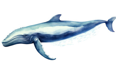 Painting splash humpback drawing whale grunge fin life background predator graphic shark invitation